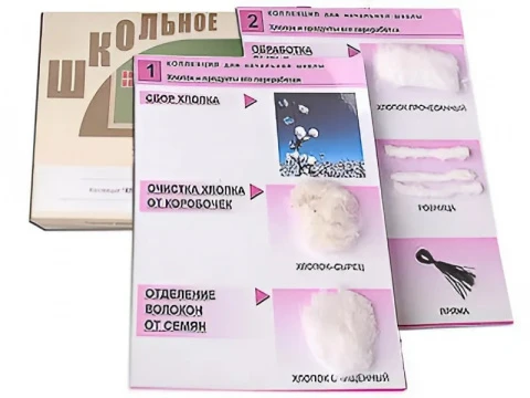 Коллекция (нач. шк.) «Хлопок»