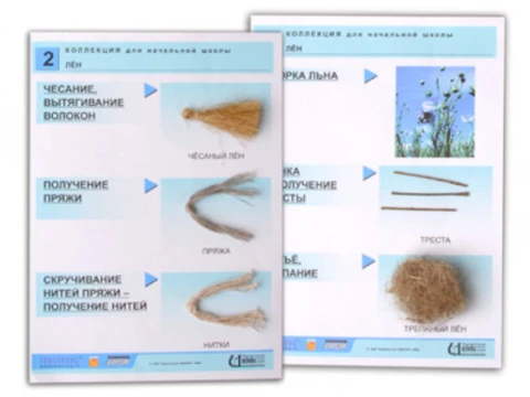 Коллекция (нач. шк.) «Лен»