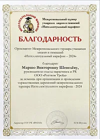 Директор ГОУ РК «ФМЛИ»